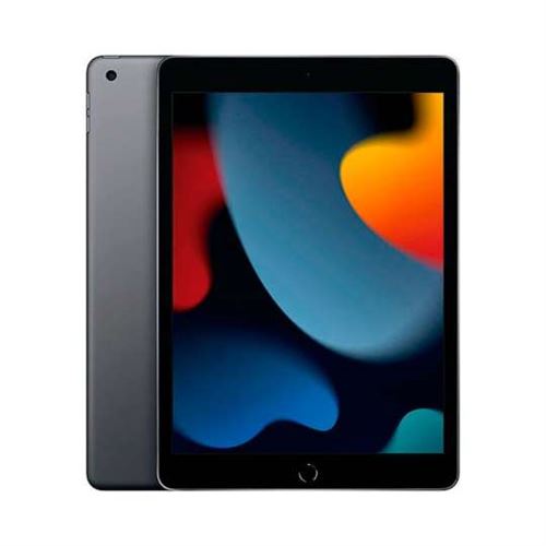 Tablette Apple iPad 10 10.2'' 256 Go Gris