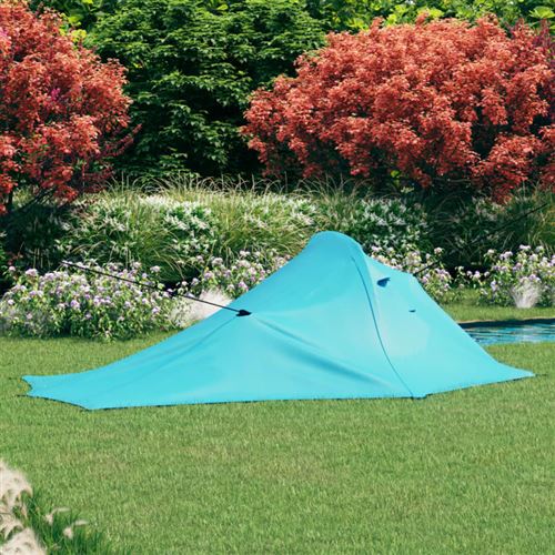 Vidaxl tente de camping 317x240x100 cm bleu