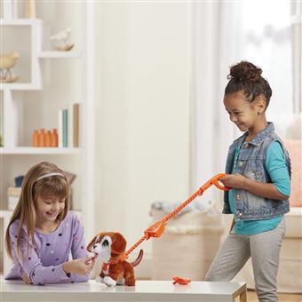 FurReal Friends figurine PoopalotsBig Wags dog girls marron 4-pièces