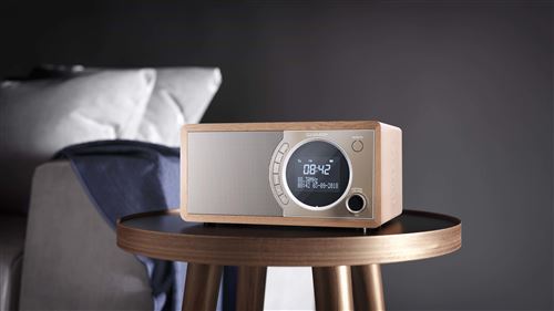 Sharp DR-450(BR) Radio Portable Horloge Marron - Radios Portables (Horloge, Dab,Dab+,FM, 3 W, LCD, Marron, Uniforme)