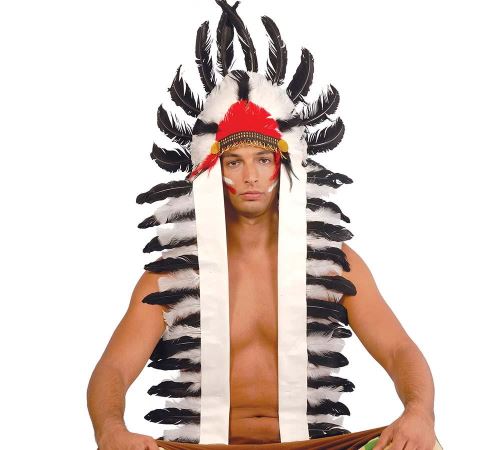 Panache de plumes Indien 1160 cm