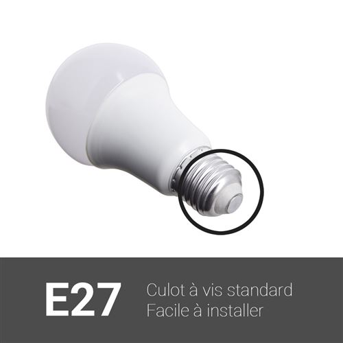 Ampoule LED A60 avec culot standard E27, conso. de 11W