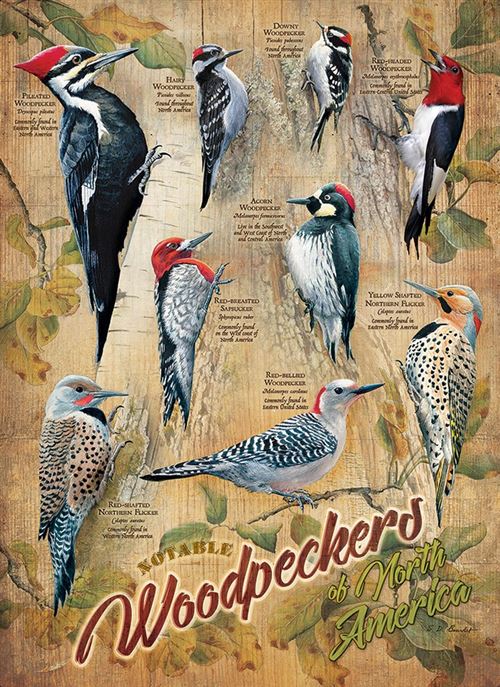 Cobblehill 85007 500 PC Notables Woodpeckers Puzzle, différents