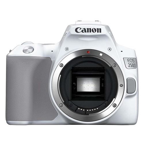 CANON eos 250d nu blanc