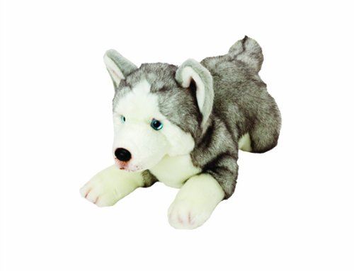 Ymko Husky Dog Md