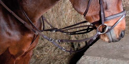 TdeT Howlett - havane fonce - cheval