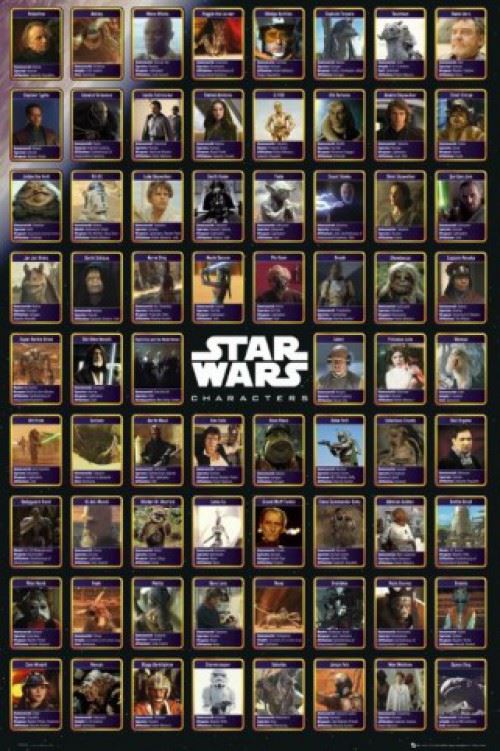 Star Wars Poster - Personnages, Infos (91x61 cm)