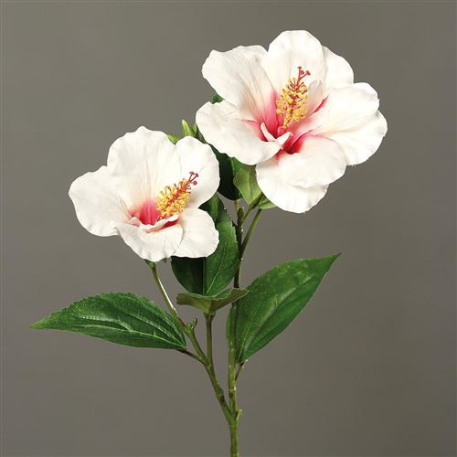 Hibiscus artificiel en branche H 65 cm 2 fleurs exotiques Crème - couleur:  Crème __ Artificielles - Achat & prix | fnac