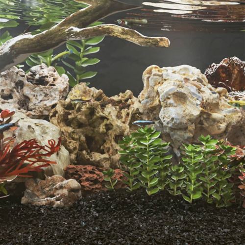 Meilleurs prix pour vidaXL Pierres du Dragon, Décoration pour Aquarium, Pierre Naturelle pour Micro-paysages Aménagement des Jardins, 10 kg Mélange de Couleurs 10-30 cm