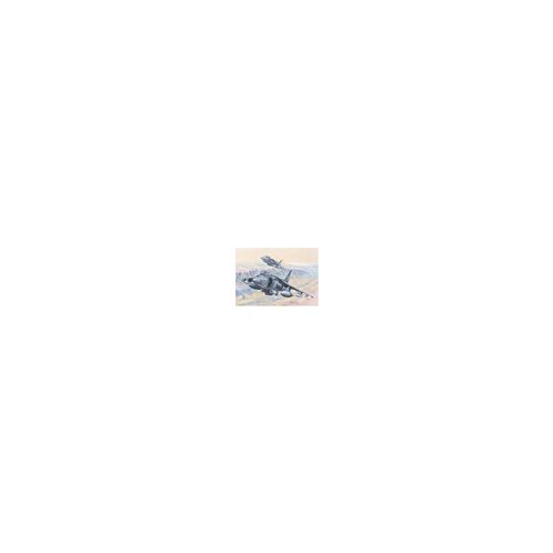 Maquette avion Hobby Boss AV-8B Harrier II- 1/18 - Maquette d'avion