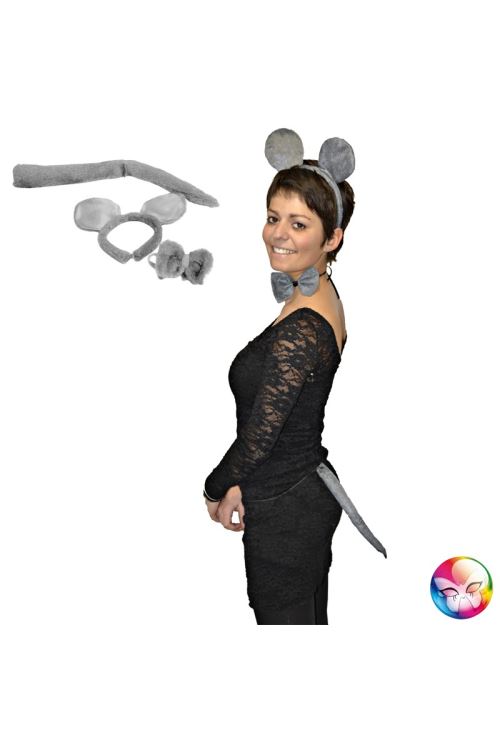 Set souris grise