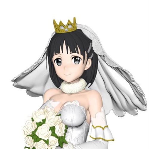 Suguha Kirigaya (Leafa) Wedding Code Register EXQ