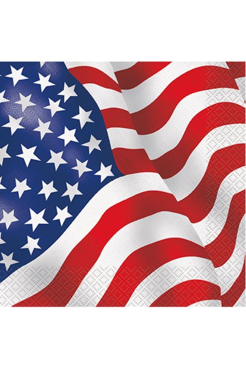 16 Serviettes En Papier Usa - Tricolore
