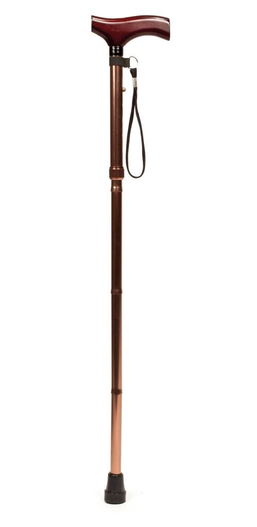 Vitility VIT-70510020 Bâton de Marche Pliant Derby Bronze