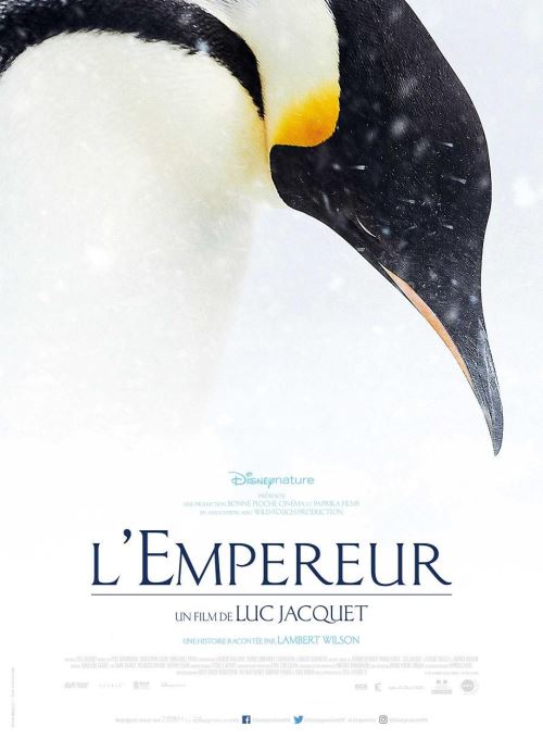 Acheter L'Empereur AFFICHE CINEMA ORIGINALE État correct - 22,99 € L'Empereur AFFICHE CINEMA ORIGINALE État correct - N/A reconditionné disponible sur Fnac