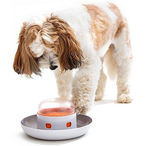 Meilleurs prix pour Bol distributeur de nourriture pour chien, chat, puzzle interactif, appréciez l'alimentation lente