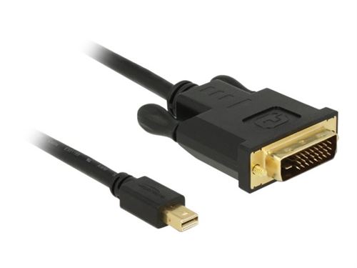 Delock - Câble adaptateur - liaison simple - Mini DisplayPort (M) pour DVI-D (M) - DisplayPort 1.1 - 1 m - passif, vis moletées - noir