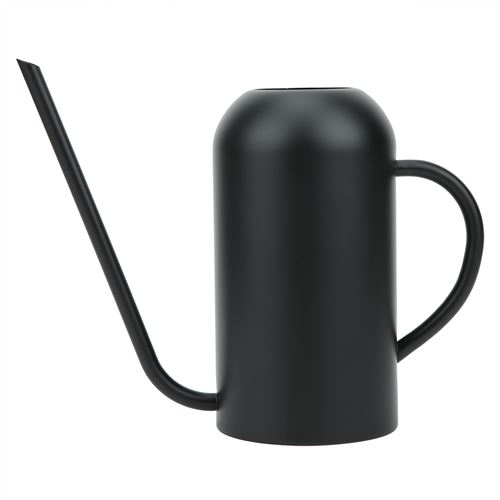 Arrosoir à Bec Long 1.5L en Acier Inoxydable pour Jardin Fleurs Plantes