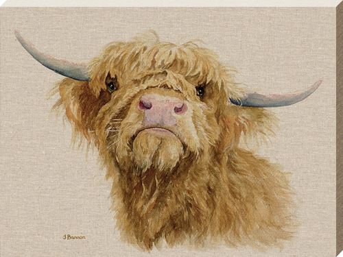 Jane Bannon imprimée Donald 30 x 40 x 3.8 cm