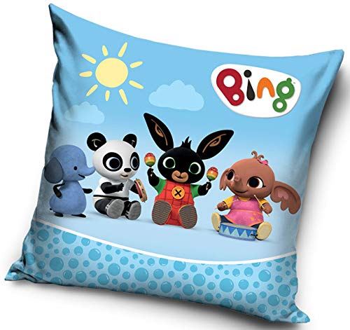 Bing Taie 40 * 40 cm Housse de Coussin