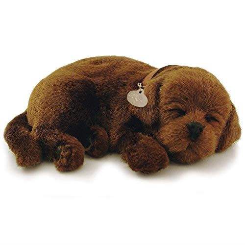 Peluche de laboratoire au chocolat Petzzz parfaite