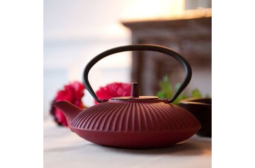 Théière en fonte 0.8L - UMBRELLA