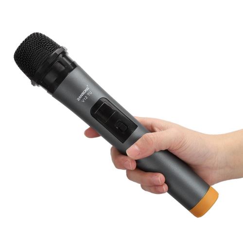 Microphone Karaoke, contrôle de l'écho G158Y