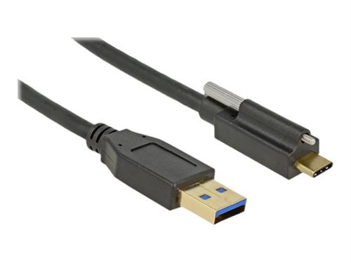 Delock - Câble USB - USB type A (M) pour USB-C (M) - USB 3.1 Gen 2 - 3 A - 1 m - vis moletées - noir