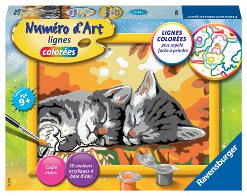 Numero dart - petit format - Deux chatons couches - Ravensburger - Kit complet de Peinture au numero - Des 9 ans