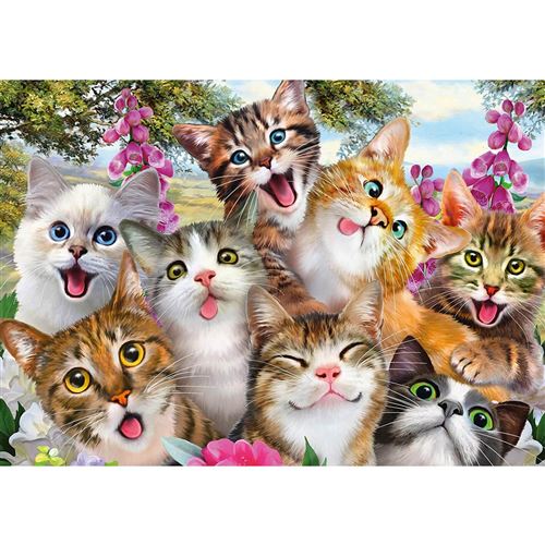 Non Communiqué Puzzle 500 Pièces : Selfie De Chats Schmidt