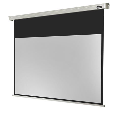 Ecran de projection celexon Motoris&eacute; PRO 220 x 124 cm