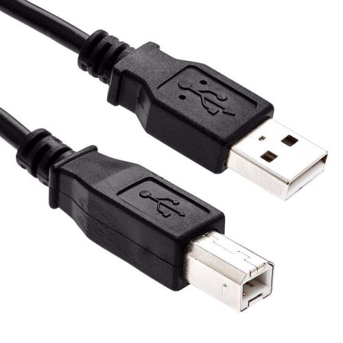 cablecc Câble Y double USB 2.0 mâle vers B mâle standard 80 cm pour  imprimante, scanner et disque dur externe