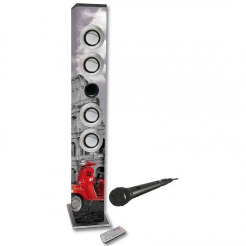 Haut-parleur iWown KARAOKE TW/BK2 20W USB / SD