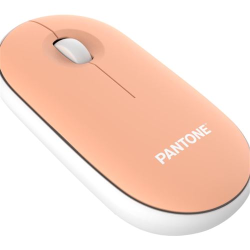 Pantone PT-MS001E souris Maison RF sans fil Laser 100 DPI