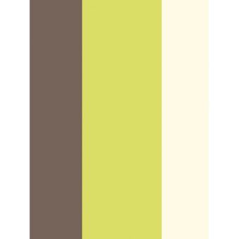 Gratuit Images Rayure Papier Peint Chocolat Citron Vert Et Creme Decors Et dernière salutations