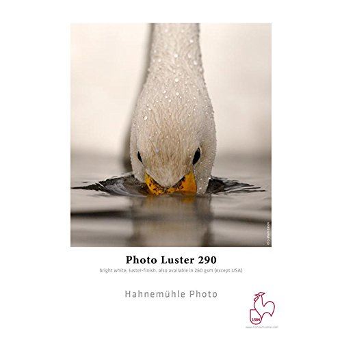 Papier Hahnemühle 10643172 photo Luster, 260 g/m², 17 pouces Rouleau de 432 mm x 30 m, blanc lumineux
