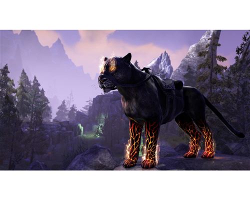 Bethesda The Elder Scrolls Online : Summerset