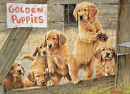 Cobblehill 85019 500 PC Doré Chiots Puzzle, différents