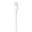 Apple Lightning to USB Cable - iPad / iPhone / iPod opladen / datakabel - Lightning / USB - 2 m_2