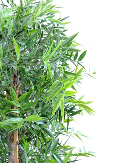 Plante artificielle haute gamme Spécial extérieur/ Haie Bambou artificiel  coloris vert - Dim : 90 x 45 x 120 cm - Achat & prix | fnac