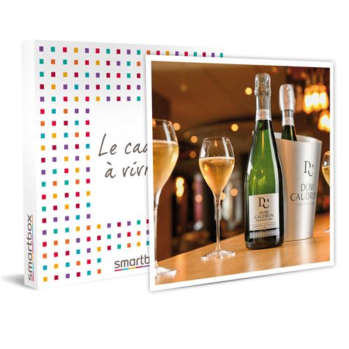 SMARTBOX - Coffret Cadeau Dégustation de champagnes et visite en famille près de Reims-Gastronomie