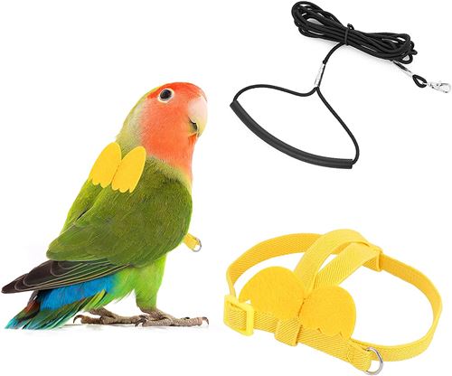 Meilleurs prix pour Harnais Perroquet Laisse Réglable FONGWAN Corde Anti-morsure Entraînement Vol pour Animaux Oiseaux, XS - Jaune