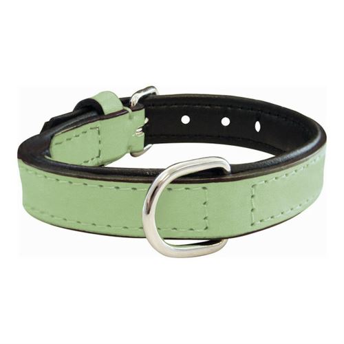 Meilleurs prix pour Collier pour Chien Gloria Rembourré 55 2 5 cm
