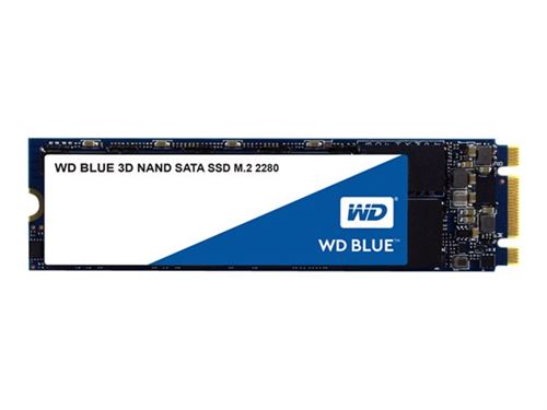 Western Digital WD Blue SSD interne M.2 250 Go - SATA 6 Gbit/s 2,5