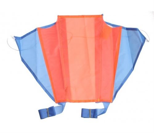 Eddy Toys mini-cerf-volant 46 x 25 cm