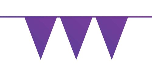 Haza Original ligne du drapeau violet 10 mètres