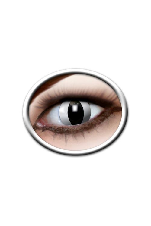 Lentilles Chat Blanc 12 Mois Zoelibat - Blanc / noir