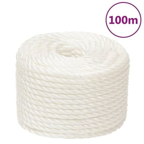 VIDAXL - Corde de travail - 14 mm - 100 m - Blanc - Image 3
