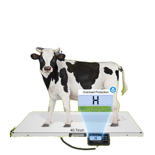 Meilleurs prix pour Balance Numérique Vétérinaire pour Animaux, Deux Modes de Pesée, Affichage LCD