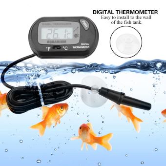 Thermomètre digital externe pour aquarium - Petits Compagnons